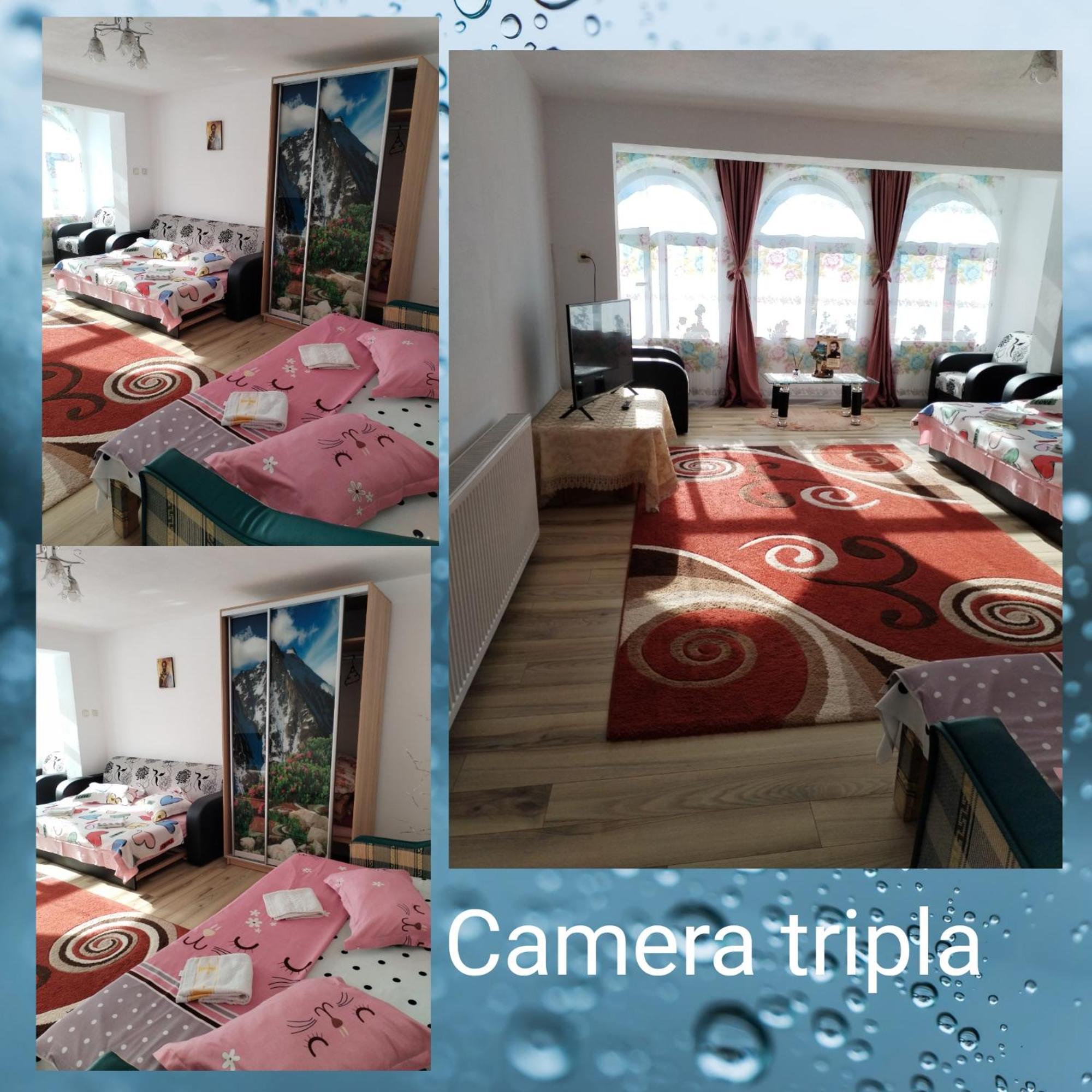 Casa Sara Hotel Dimbovicioara Luaran gambar