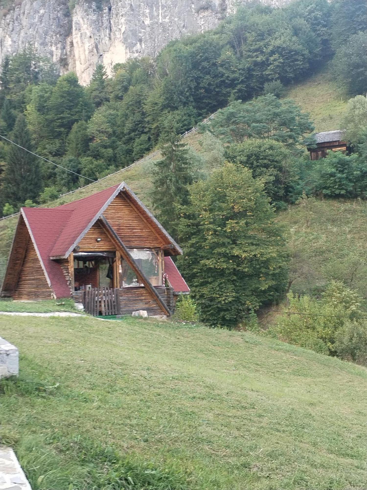 Casa Sara Hotel Dimbovicioara Luaran gambar