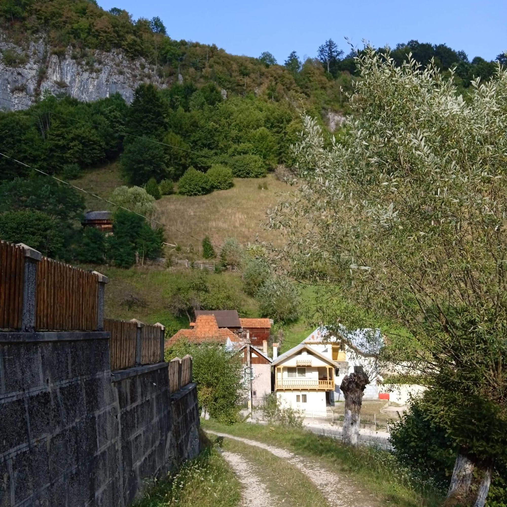 Casa Sara Hotel Dimbovicioara Luaran gambar